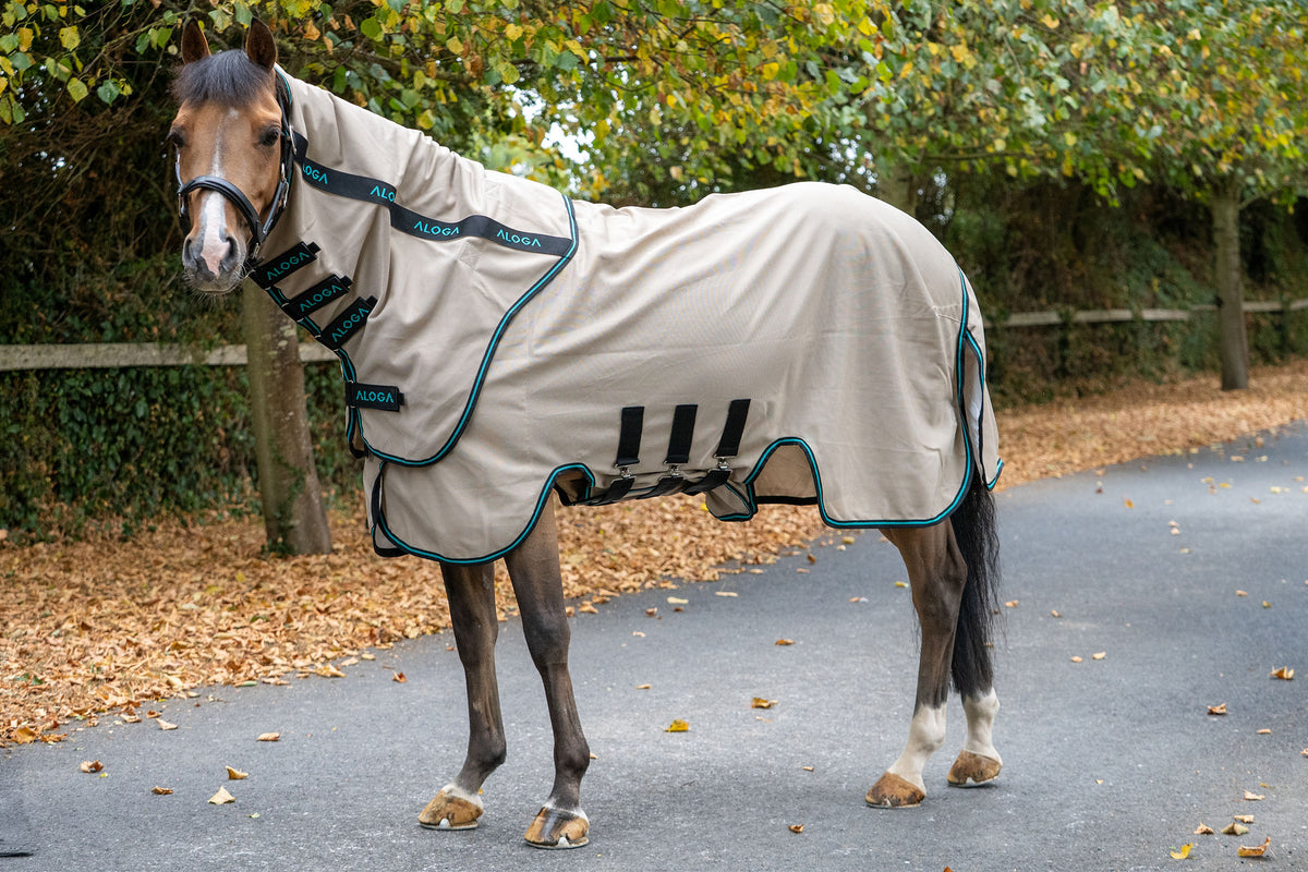 PONY EKZEMERDECKE SWEET ITCH SHEET