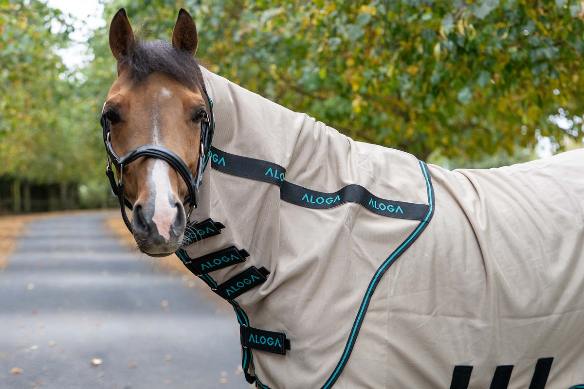 PONY EKZEMERDECKE SWEET ITCH SHEET