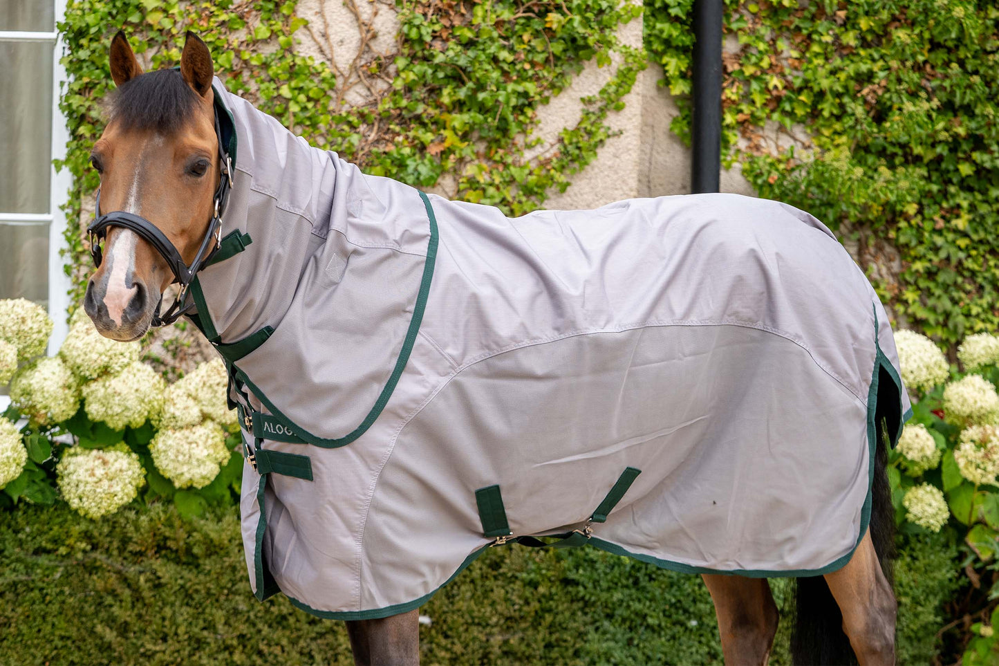 REGEN FLIEGENDECKE PONY FLY DRY SHEET 2.0