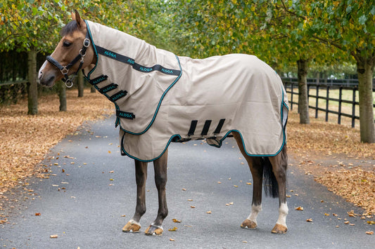 PONY SWEET ITCH SHEET