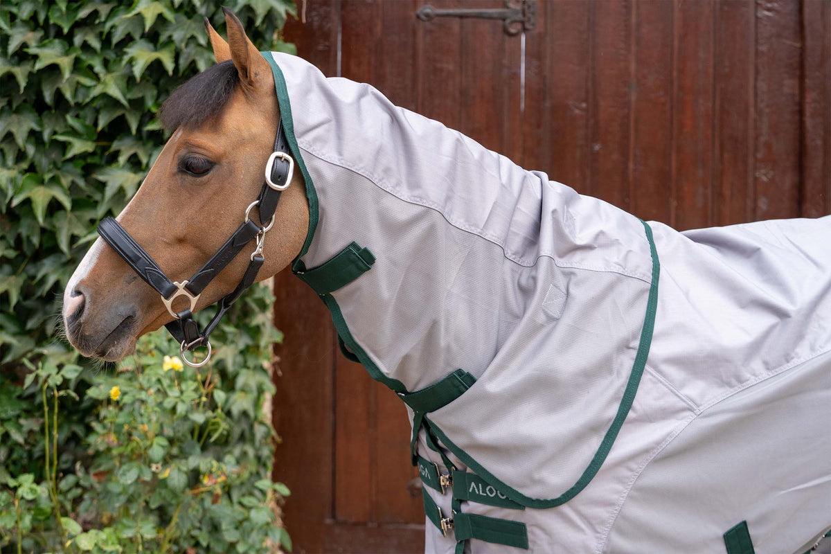 REGEN FLIEGENDECKE PONY FLY DRY SHEET 2.0